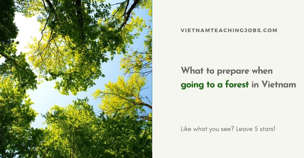 What to prepare when going to a forest in Vietnam